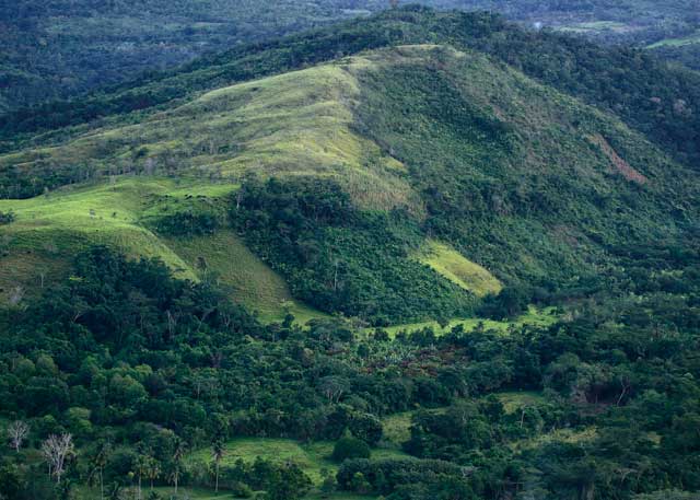 Investir dans des solutions naturelles de haute intégrité : JS