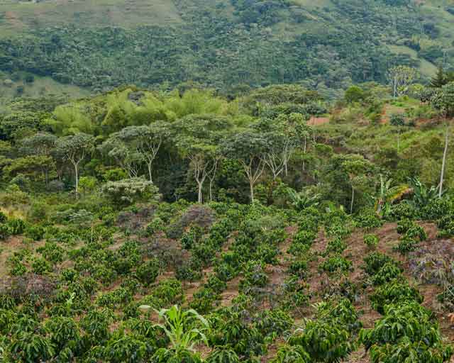 PUR’s 2024 Impact Report