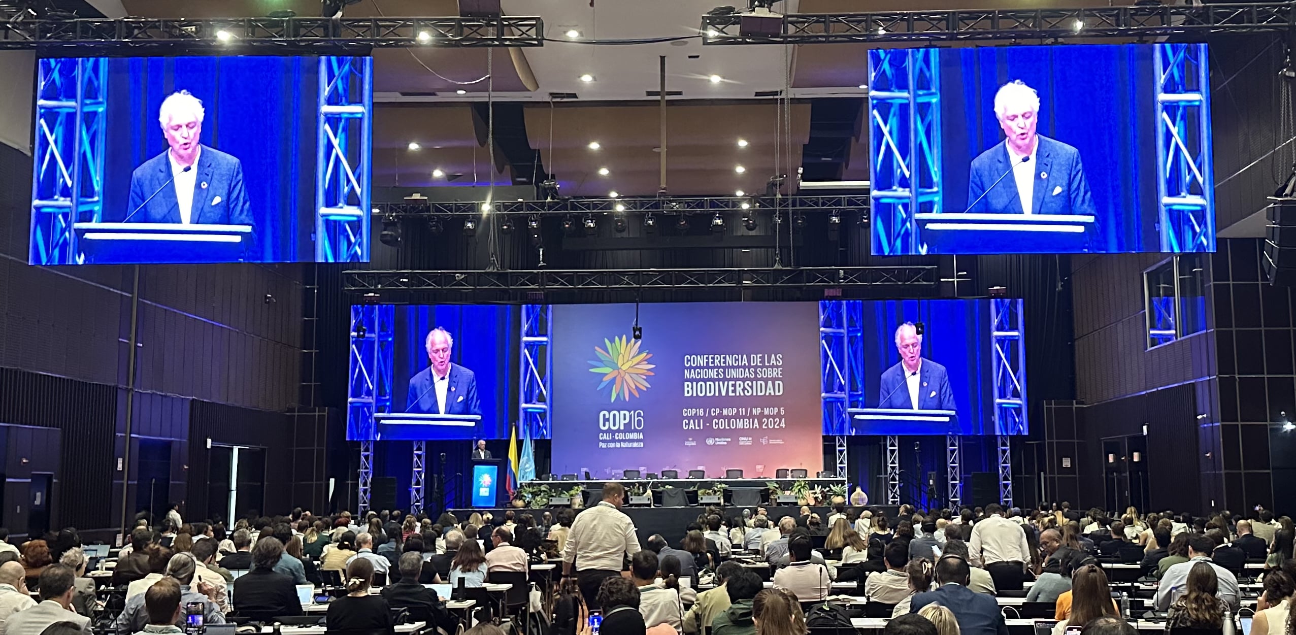 Reflections from COP16