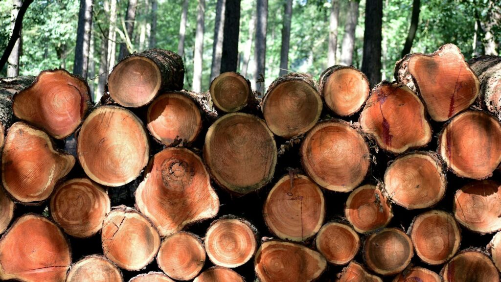 Ce que le retard de l’EUDR signifie pour votre entreprise